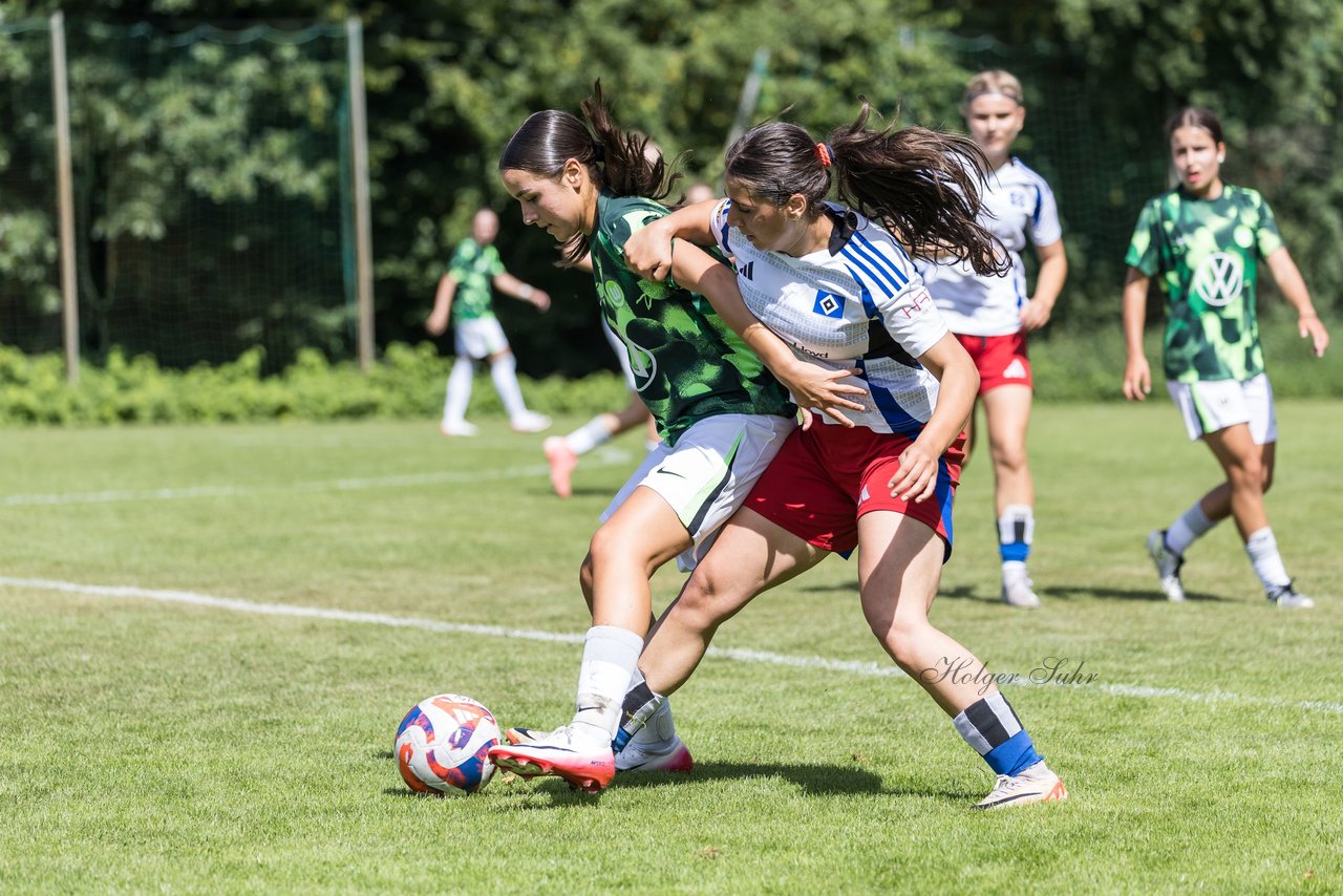 Bild 236 - wBJ Hamburger SV - VfL Wolfsburg : Ergebnis: 5:1